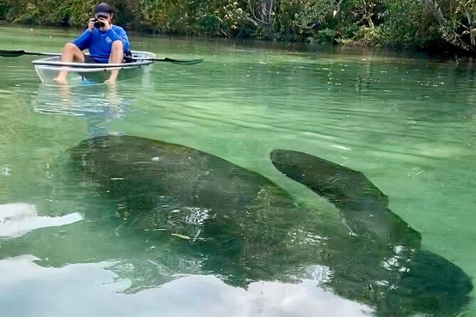 Clear Kayak Tours in Weeki Wachee - How much work is this paddle? Pace, current, and fitness