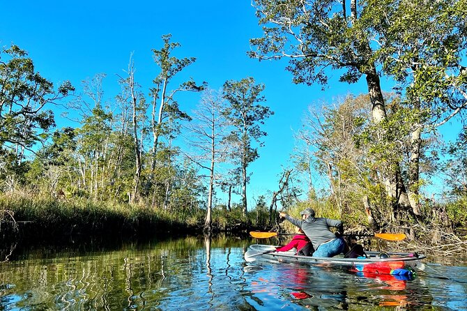 Clear Kayak Tours in Weeki Wachee - Tandem setup and the weight rules that keep it safe