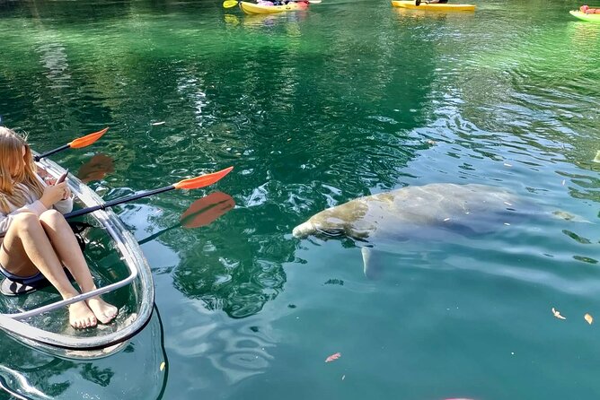 Clear Kayak Tours in Weeki Wachee - Guides matter: how Jodie, Bree, Davis, and others shape the trip