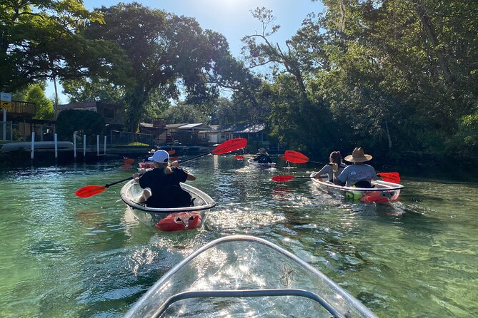 Clear Kayak Tours in Weeki Wachee - Price and value: is $79 per person worth it?