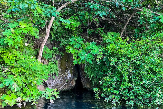 Clear Kayaking Eco Adventure Tour in Marianna - Clear Kayaking in Marianna Springs: What the 100% CLEAR Kayak Lets You See