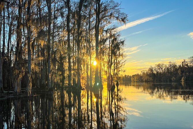 Clear Kayaking Eco Adventure Tour in Marianna - Price and Value: What $75 Buys in a Small-Group Setting