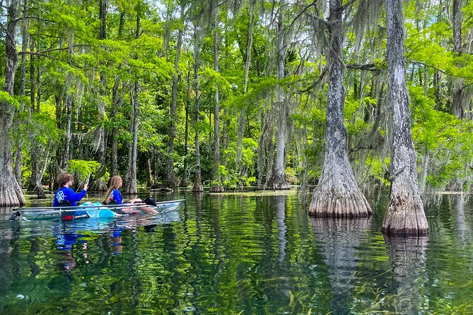 Clear Kayaking Eco Adventure Tour in Marianna - Practical Tips: What to Bring and How to Get Better Photos