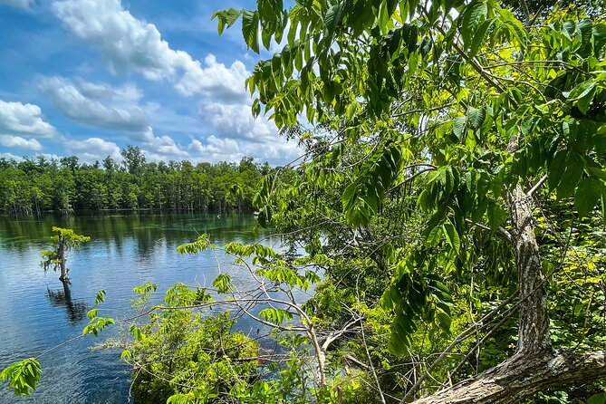 Clear Kayaking Eco Adventure Tour in Marianna - Meet at Cave Adventurers and Get Set Up Quickly