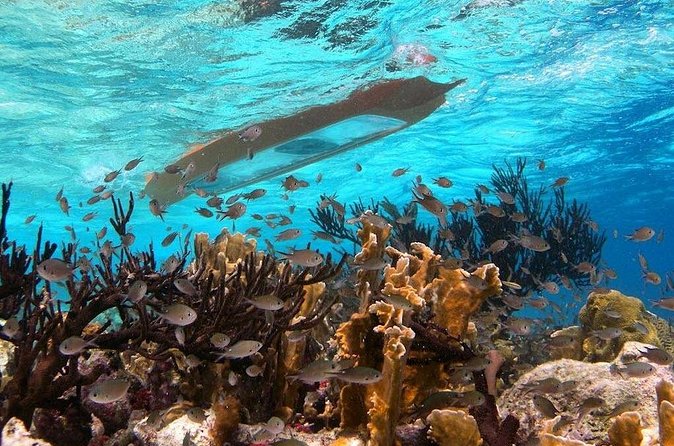 Clearbottom Mangrove Kayak & Snorkel tour - Getting to Lac Cai: the meeting point and the drive to the water