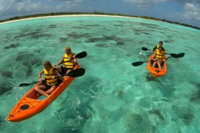 Clearbottom Mangrove Kayak & Snorkel tour - Kayak setup and group size: built for comfort, with a workout edge