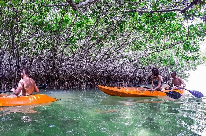 Clearbottom Mangrove Kayak & Snorkel tour - Stop 1 at Lac Cai Beach: the guided entry into Lac Bay National Park