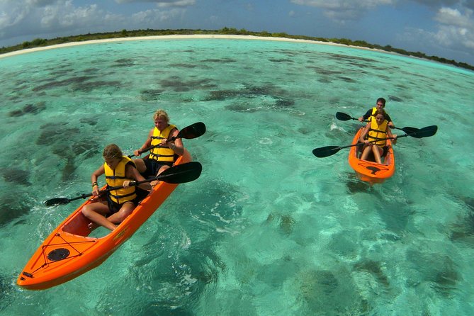 Clearbottom Mangrove Kayak & Snorkel tour - Kayak setup and group size: built for comfort, with a workout edge