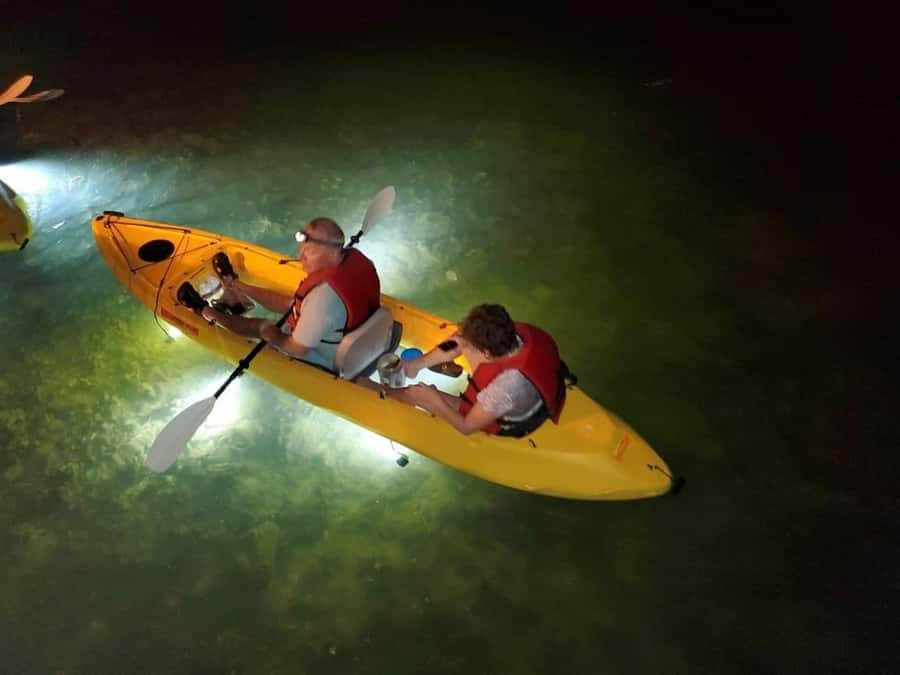 Clearwater Beach: Glass Bottom LED Kayak Night Tour - Key Highlights to Know Before You Go