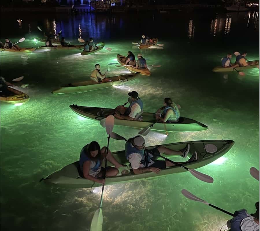 Clearwater Beach: Glass Bottom LED Kayak Night Tour - Fish Feeding From Your Kayak: The Part That Feels Like Magic