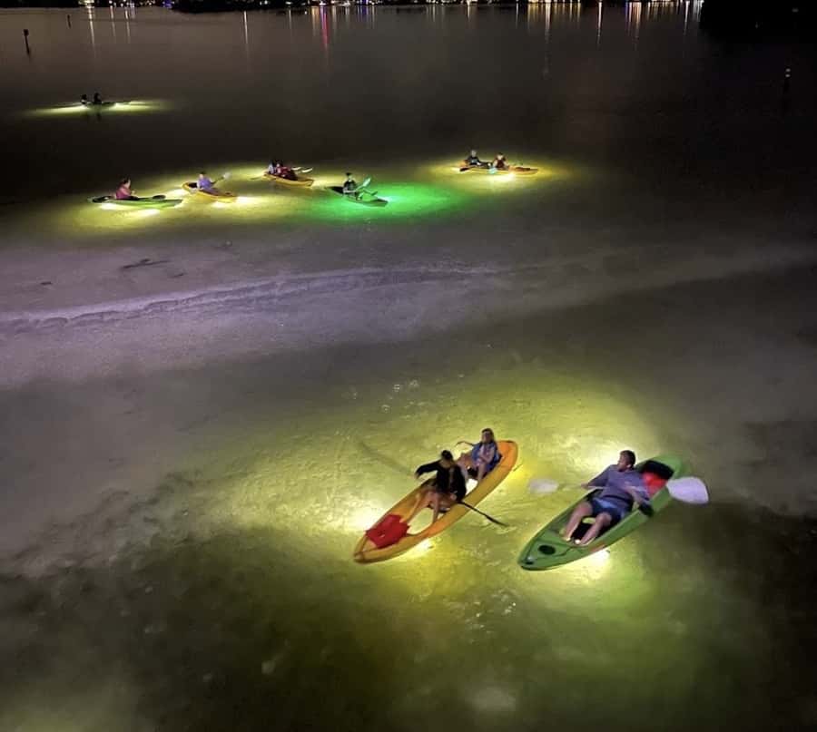 Clearwater Beach: Glass Bottom LED Kayak Night Tour - The Paddle Route: Mangroves, Bridge Areas, and Protected Waterways