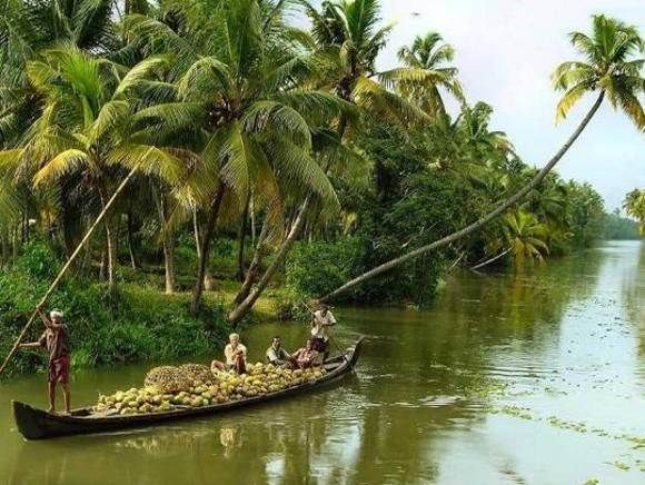 Cochin : Alleppey/Alappuzha Backwater Canoe (Shikara) Cruise - Key things I’d zero in on before booking