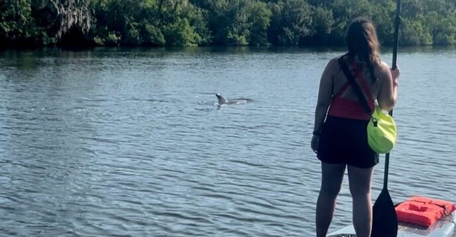 Cocoa Beach: Dolphin and Manatee Kayak or Paddle Tour - Island stop and local history: the human side of the Banana River area