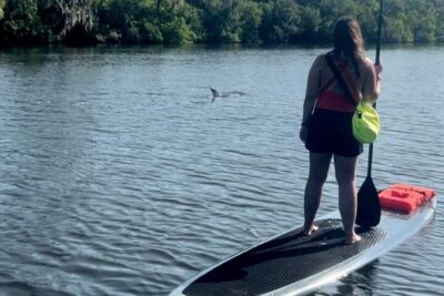 Cocoa Beach: Dolphin and Manatee Kayak or Paddle Tour - The 2-hour paddle format: what happens before you even see dolphins