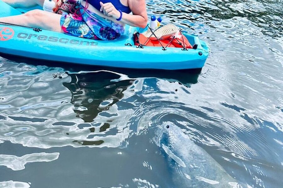Cocoa Beach: Dolphin and Manatee Kayak or Paddle Tour - Who should book this kayak and manatee tour