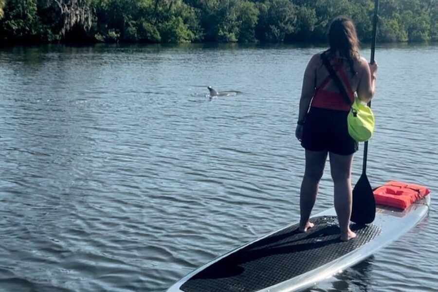 Cocoa Beach: Dolphin and Manatee Kayak or Paddle Tour - The 2-hour paddle format: what happens before you even see dolphins