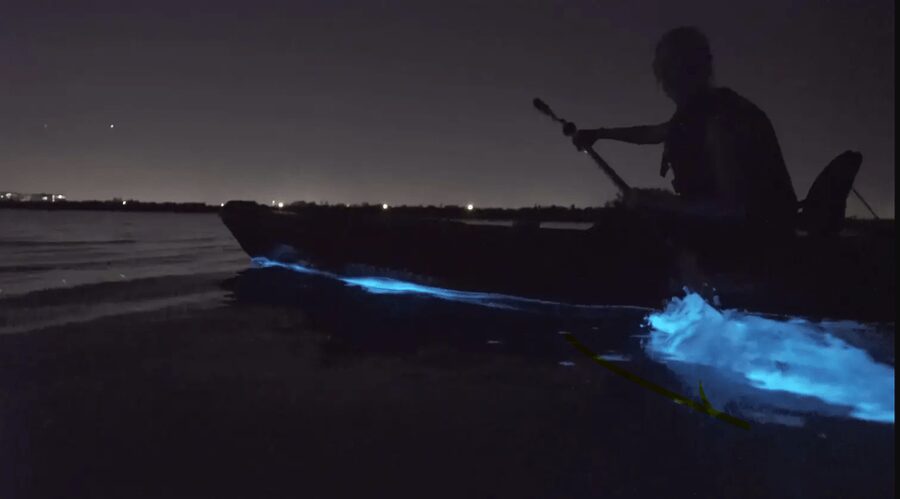Cocoa Beach/Merritt Island:Bioluminescent kayak tour - Key highlights worth getting excited about