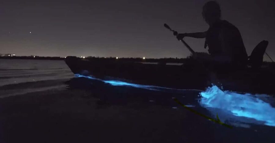 Cocoa Beach/Merritt Island:Bioluminescent kayak tour - Where You Paddle: Merritt Island and the Indian River Lagoon glow