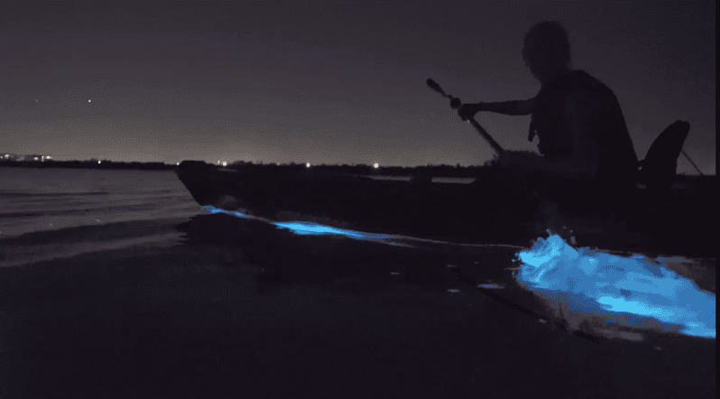 Cocoa Beach/Merritt Island:Bioluminescent kayak tour - Launching at Kiwanis Island Park Road: easy access and smart setup