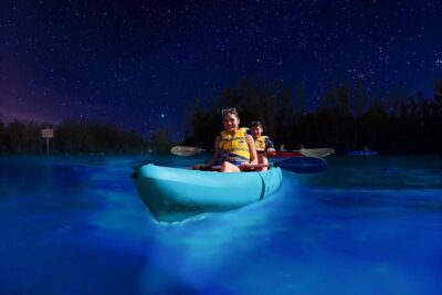 Cocoa Beach/Merritt Island:Bioluminescent kayak tour - The 90-Minute Experience: what happens from launch to return