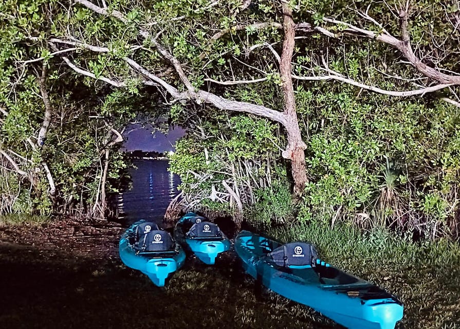 Cocoa Beach/Merritt Island:Bioluminescent kayak tour - Wildlife viewing on the Indian River Lagoon (and why it’s more than a bonus)