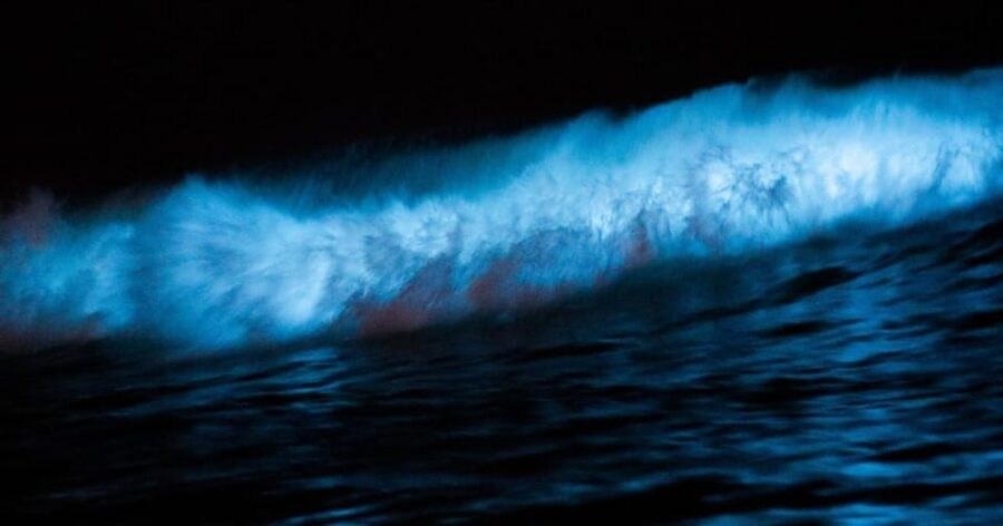 Cocoa Beach/Merritt Island:Bioluminescent kayak tour - Practical tips: what to bring so the night stays fun