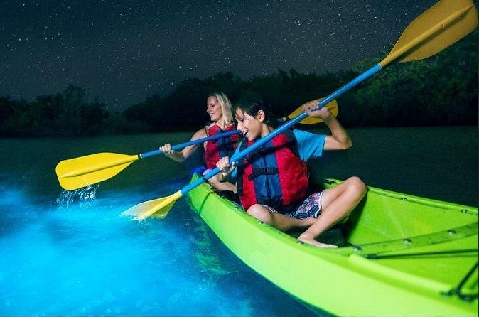 Cocoa Beach Night Time Bioluminescence Kayak Tour - Watching bioluminescence: what you’re really trying to see