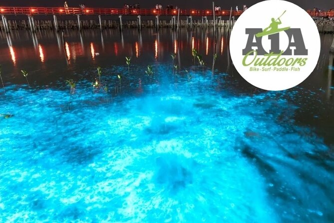 Cocoa Beach Night Time Bioluminescence Kayak Tour - The optional swim afterward: cool, calm, and very close to the “wow” factor