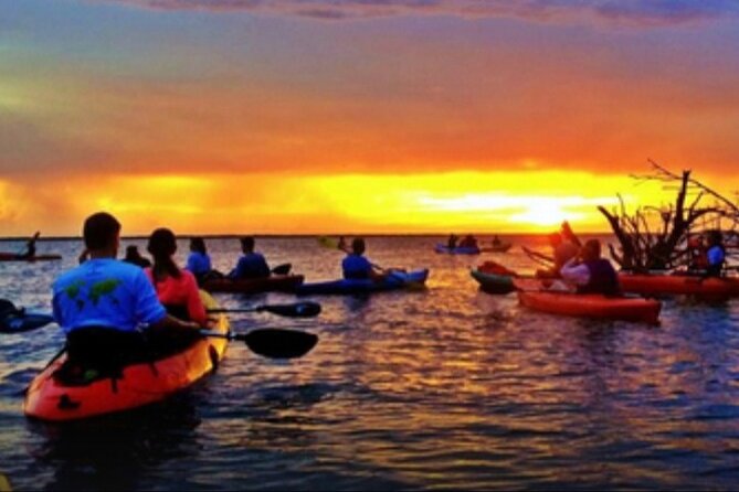 Cocoa Beach Night Time Bioluminescence Kayak Tour - Price and value: is $79 a fair deal for 1.5 hours?