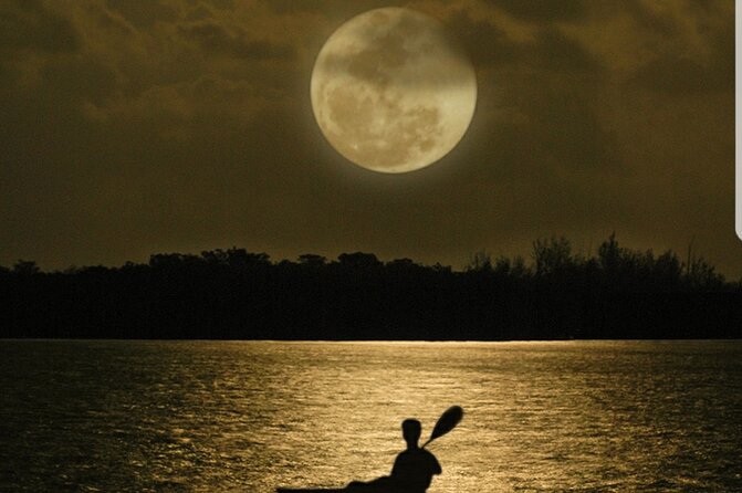 Cocoa Beach Night Time Bioluminescence Kayak Tour - What can go wrong (and how to handle it calmly)