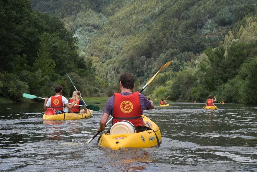 Coimbra: Mondego River Kayaking Tour - The route from Carvoeira Dam: forests, villages, and a downriver rhythm