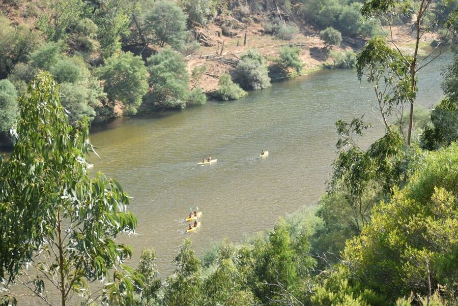 Coimbra: Mondego River Kayaking Tour - Who this tour fits best (and who should rethink it)