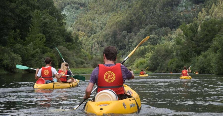 Coimbra: Mondego River Kayaking Tour - Starting in Penacova: the morning flow and what gear is waiting for you
