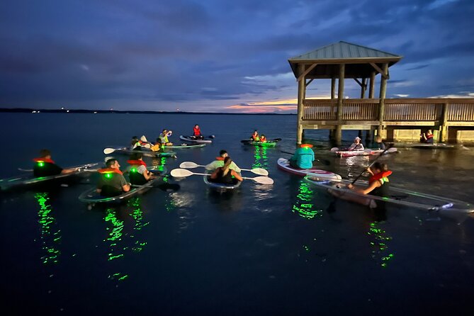 Comb Jelly Bioluminescence Clear Kayak Glow Tour - Comb jellies, horseshoe crabs, and the glow tricks that help you see it