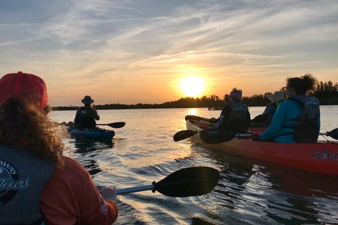 Comb Jelly Bioluminescence Kayak Tour - Key things to know before you go