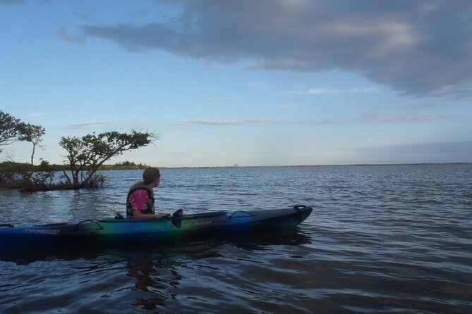Comb Jelly Bioluminescence Kayak Tour - Price and timing: What $65 buys you (and what it doesn’t)