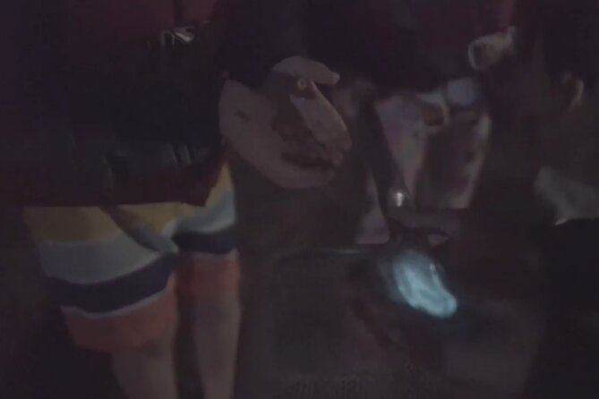 Comb Jelly Bioluminescence Kayak Tour - Step-by-step: From the Haulover launch to the glowing water