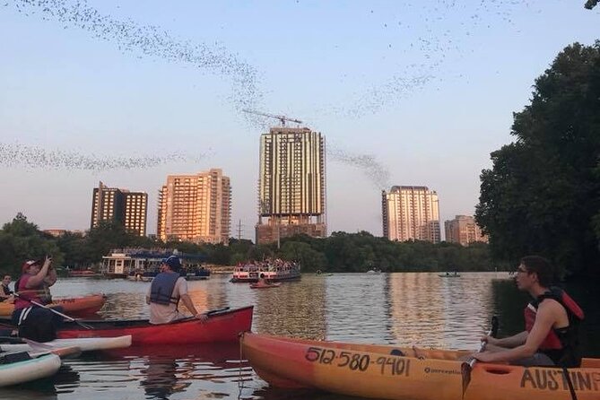 Congress Avenue Bat Bridge Kayak Tour in Austin - Austin skyline from the kayak: lights, angles, and a calmer pace