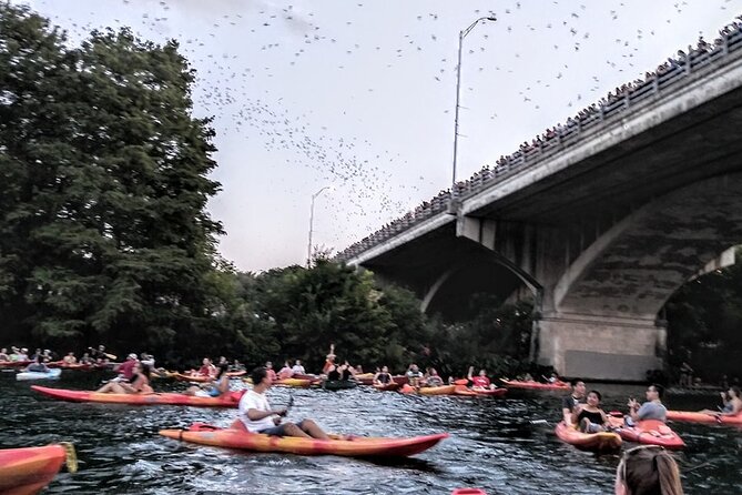 Congress Avenue Bat Bridge Kayak Tour in Austin - Kayak setup and beginner comfort: hard-frame boats, short instruction, real safety