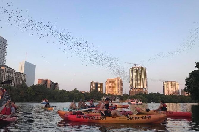 Congress Avenue Bat Bridge Kayak Tour in Austin - Weather, water conditions, and how the tour handles changes