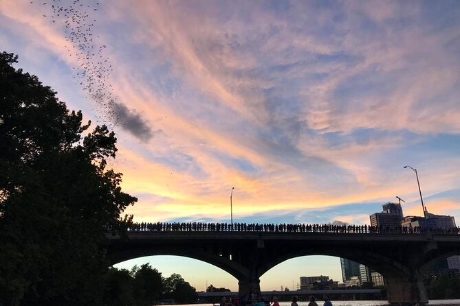Congress Avenue Bat Bridge Kayak Tour in Austin - Price and value: what $50 buys you in Austin at night