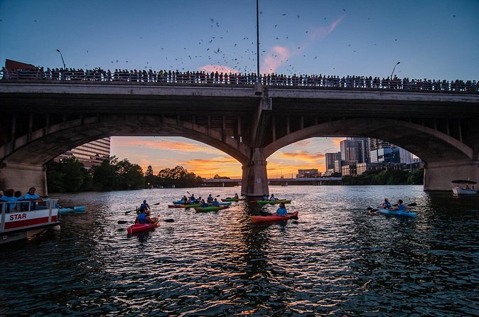 Congress Bridge Kayaking Bat Tour - Paddling Lady Bird Lake: the part that makes it more than a photo stop