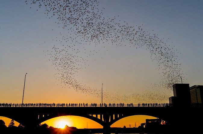 Congress Bridge Kayaking Bat Tour - Gear and safety: what’s included, and what that means for you