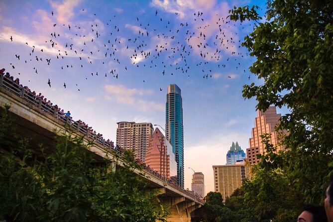 Congress Bridge Kayaking Bat Tour - Duration, pace, and what to expect during the full 2 hours