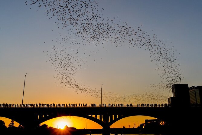 Congress Bridge Kayaking Bat Tour - The main event at Congress Avenue Bridge: bat watching from the kayak