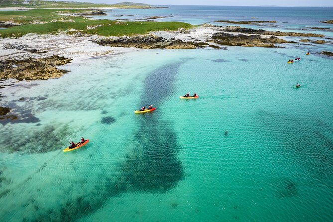 Connemara Coastal kayaking - Wildlife spotting you can actually enjoy (plovers and herons)