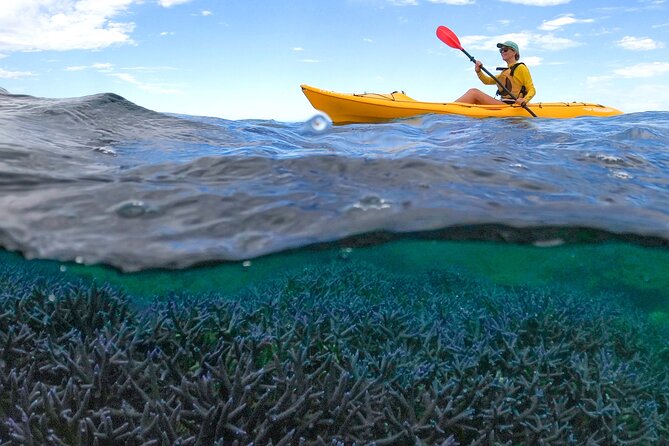 Coral By Kayak - Ningaloo Reef Half Day Kayak & Snorkel Tour - Key things to know before you go