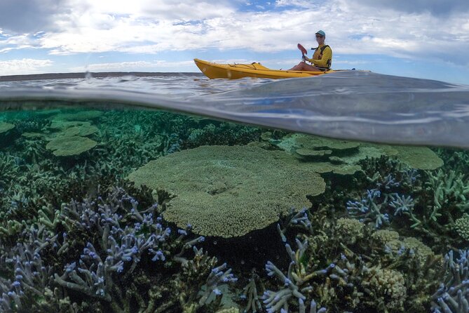 Coral By Kayak - Ningaloo Reef Half Day Kayak & Snorkel Tour - Snorkel time with a guide beside you