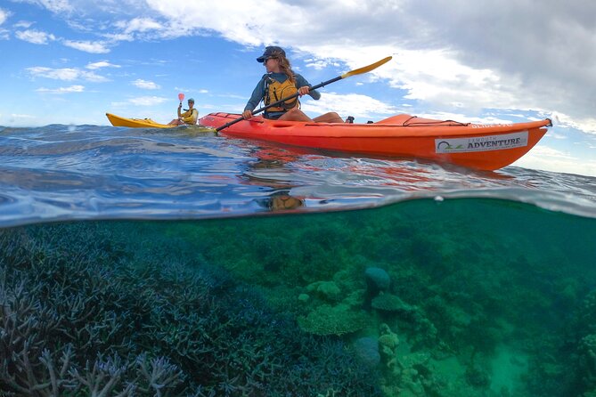 Coral By Kayak - Ningaloo Reef Half Day Kayak & Snorkel Tour - Group size and physical expectations (so you pick the right day)