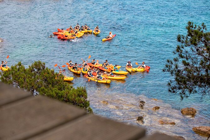 Costa Brava Guided Kayak and Snorkeling Excursion in Playa de Aro - Key Highlights You Should Know Before You Go
